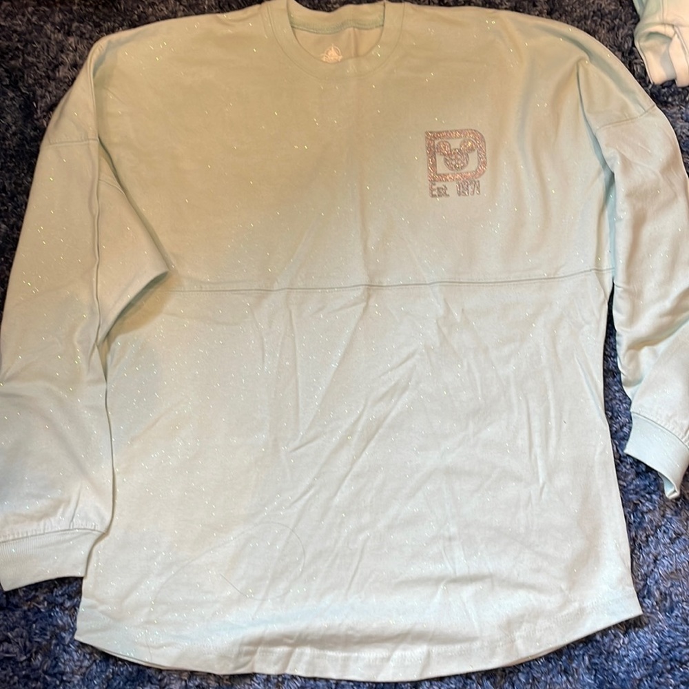 Walt Disney World spirit jersey